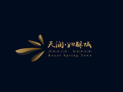 地产提案
