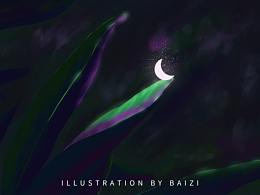 2021.2.2 星期二