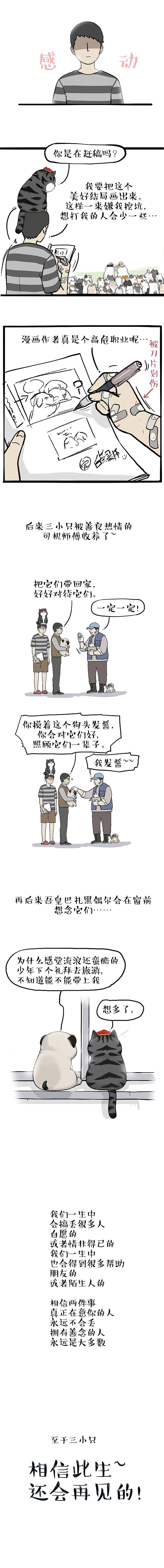 真正在意你的人，不会丢！（图ZMjYxMjIzNjI0） - 中/长篇漫画 - 站酷设计师吾皇的白茶原创素材 - 站酷ZCOOL