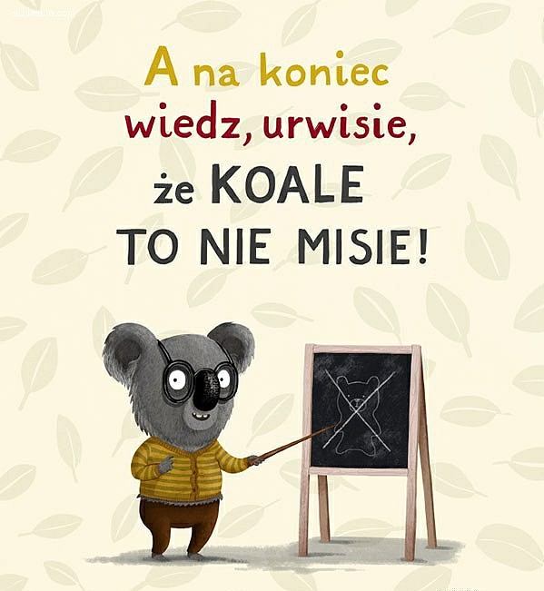 Emilia Dziubak《考拉不允许》