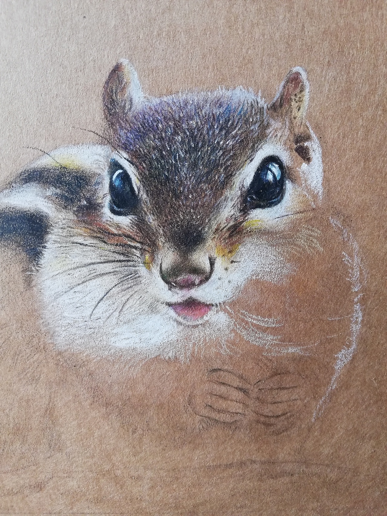 彩铅牛皮纸手绘 花栗鼠