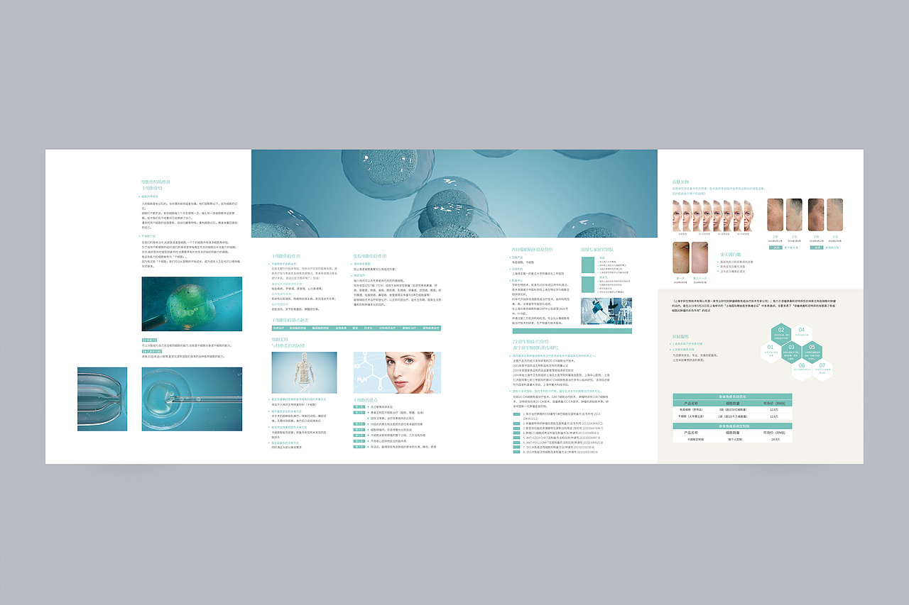 四折页关门折干细胞宣传页