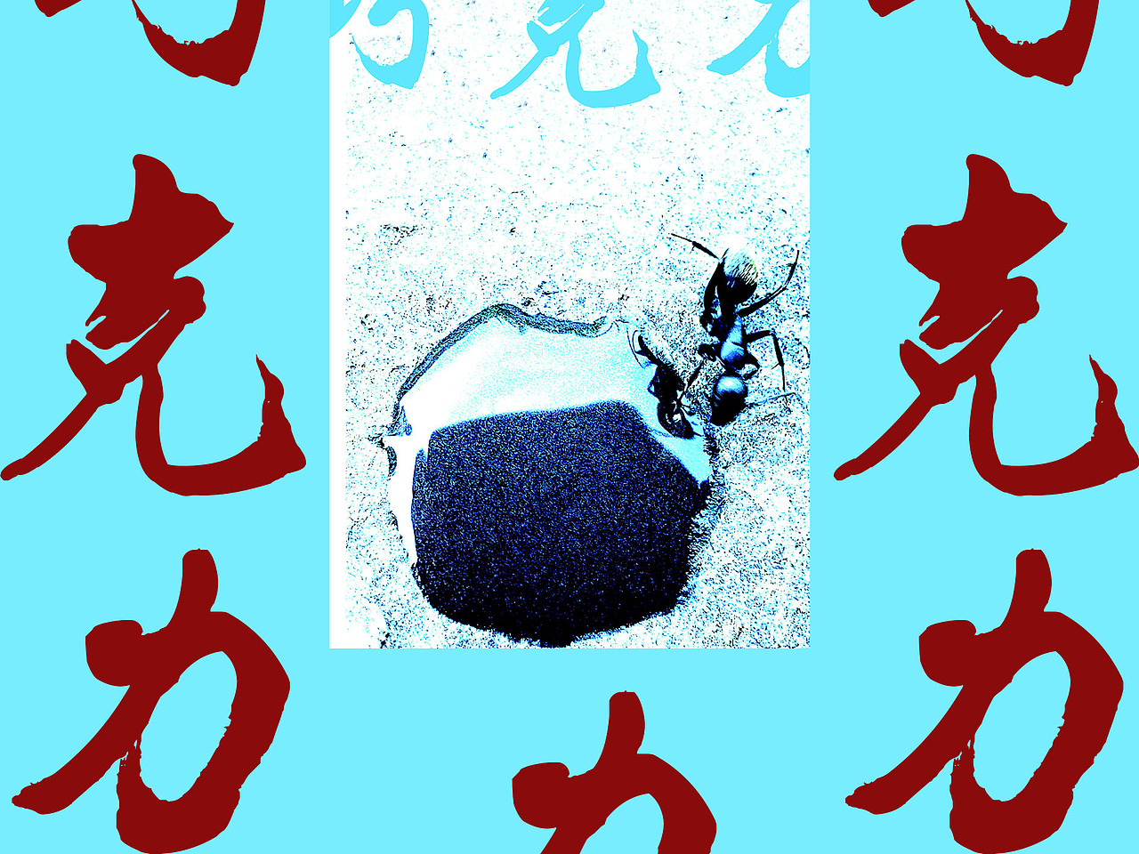 >昆与虫<（图ZMTI0NDI5NTE2） - 宠物摄影 - 站酷设计师蝌蚪KEDOU原创素材 - 站酷ZCOOL