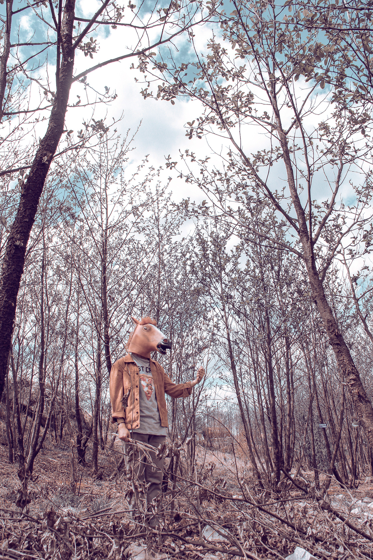 野里 | 姓张的马先生