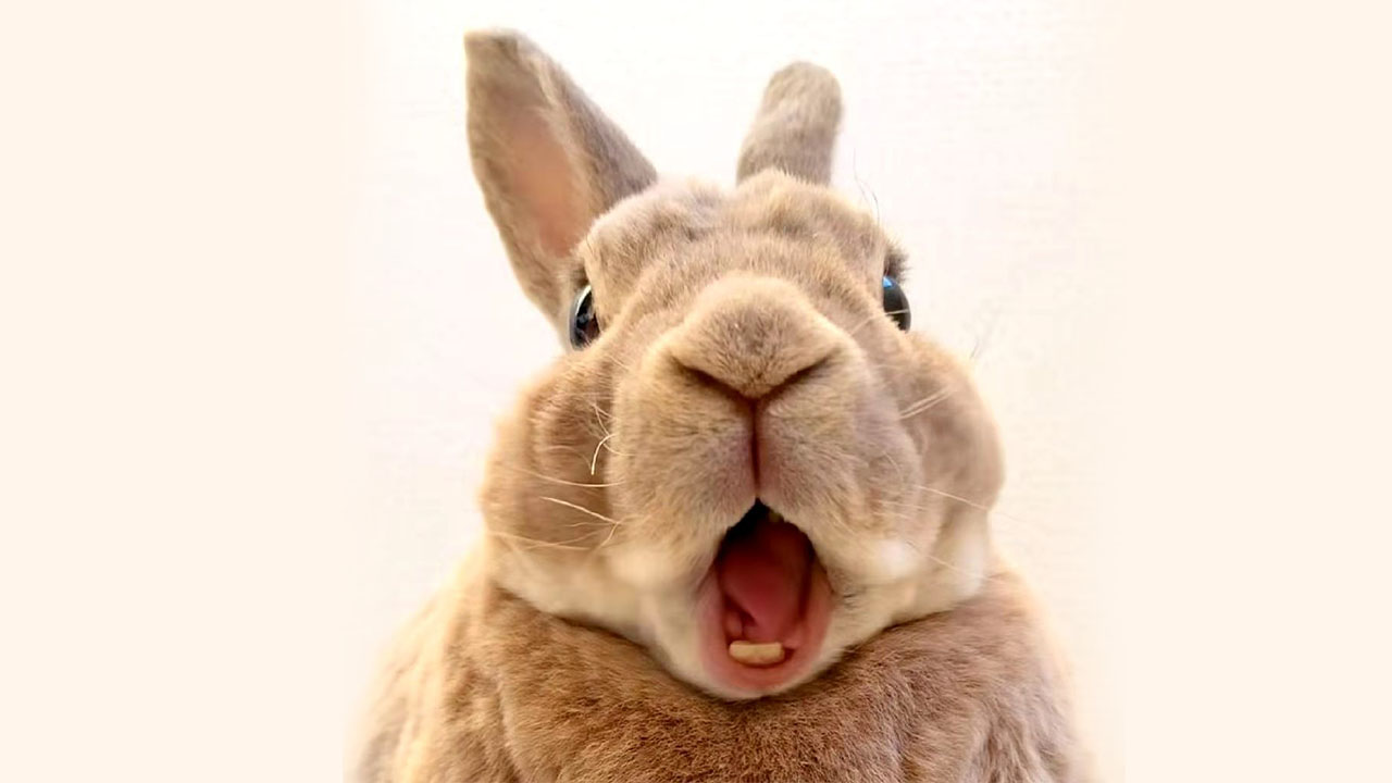 吃糖會長痘的個人主頁（背景預覽） - 主頁背景設置 - 站酷設計師吃糖會長痘原創(chuàng)素材 - 站酷ZCOOL