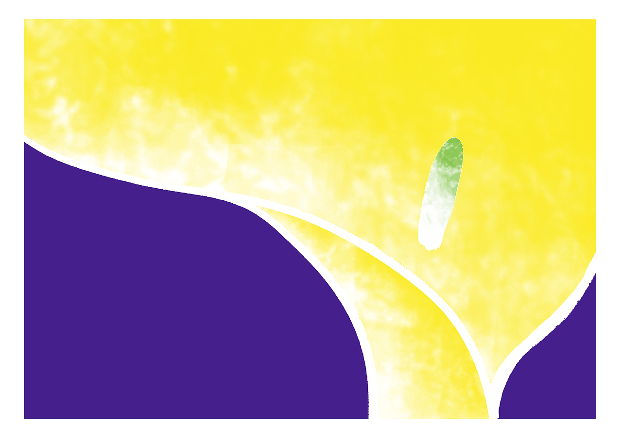 FLOWER（图ZMjc2NDQ1NTMy） - 商业插画 - 站酷设计师是鱼耳原创素材 - 站酷ZCOOL