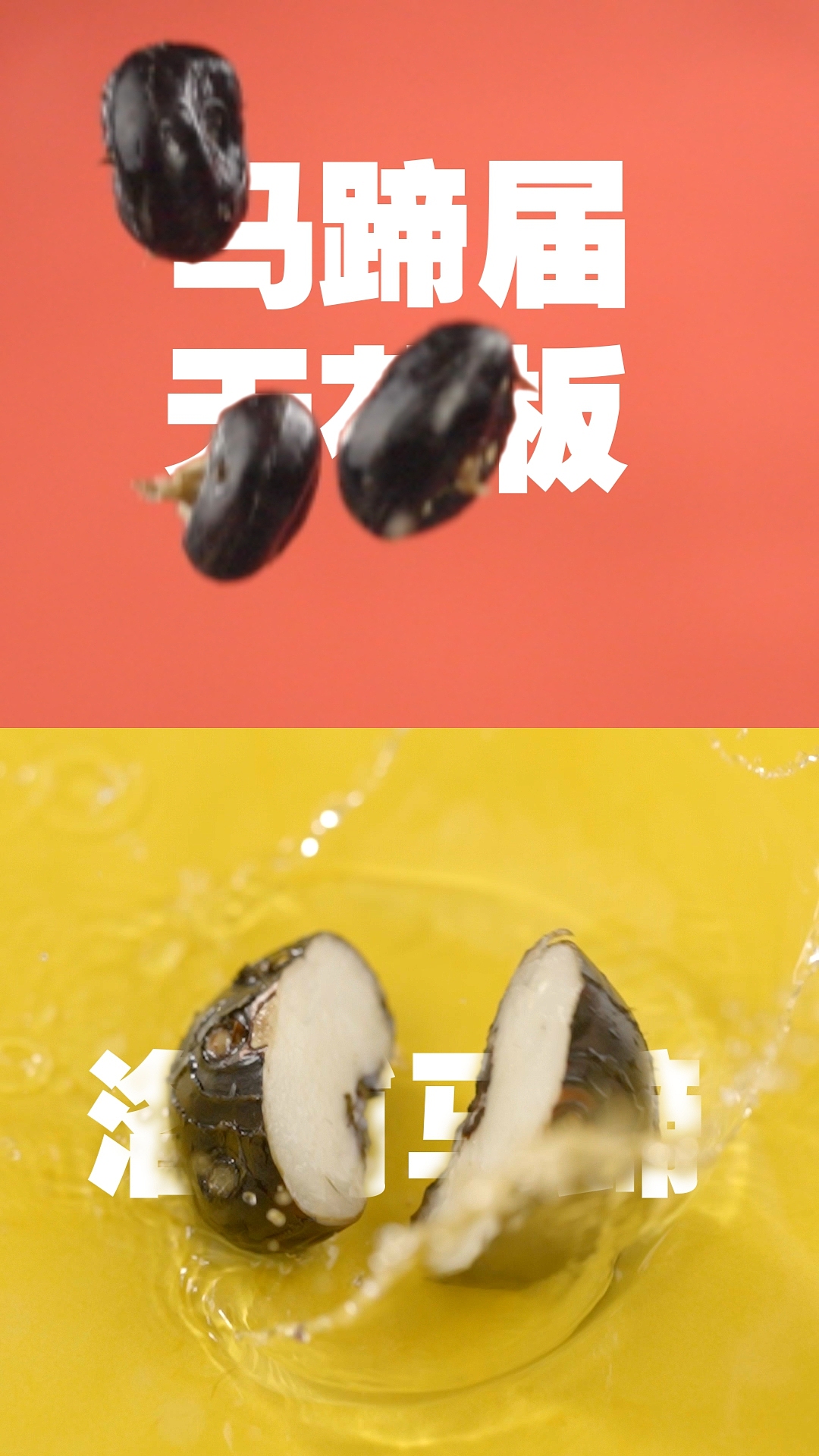 马蹄虾仁拍摄✖️逮虾记（图ZMjk1NTA0OTYw） - 短片 - 站酷设计师郁龙影视工作室原创素材 - 站酷ZCOOL