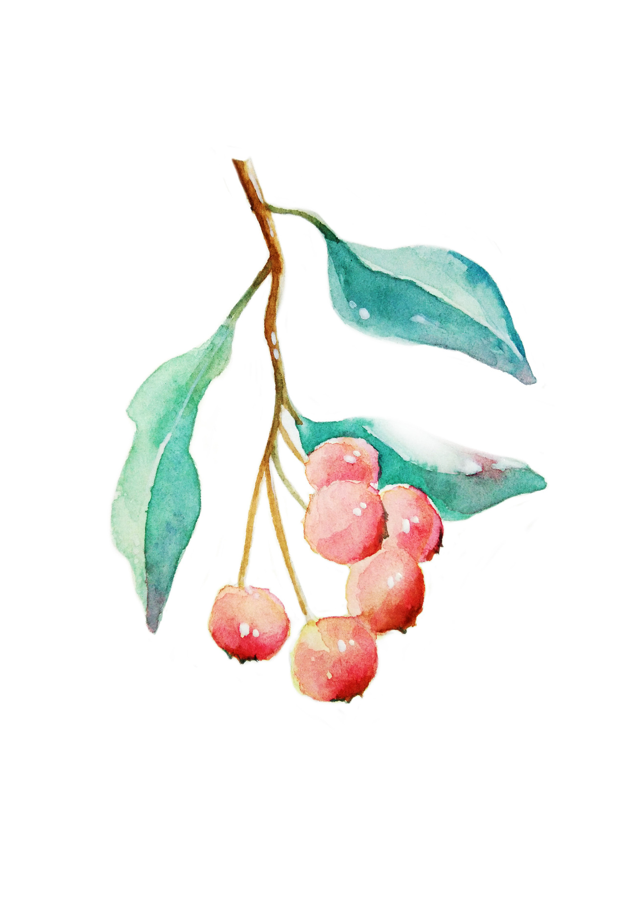 明信片水彩小绘