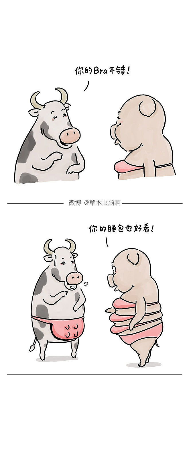 睡在上铺的兔子