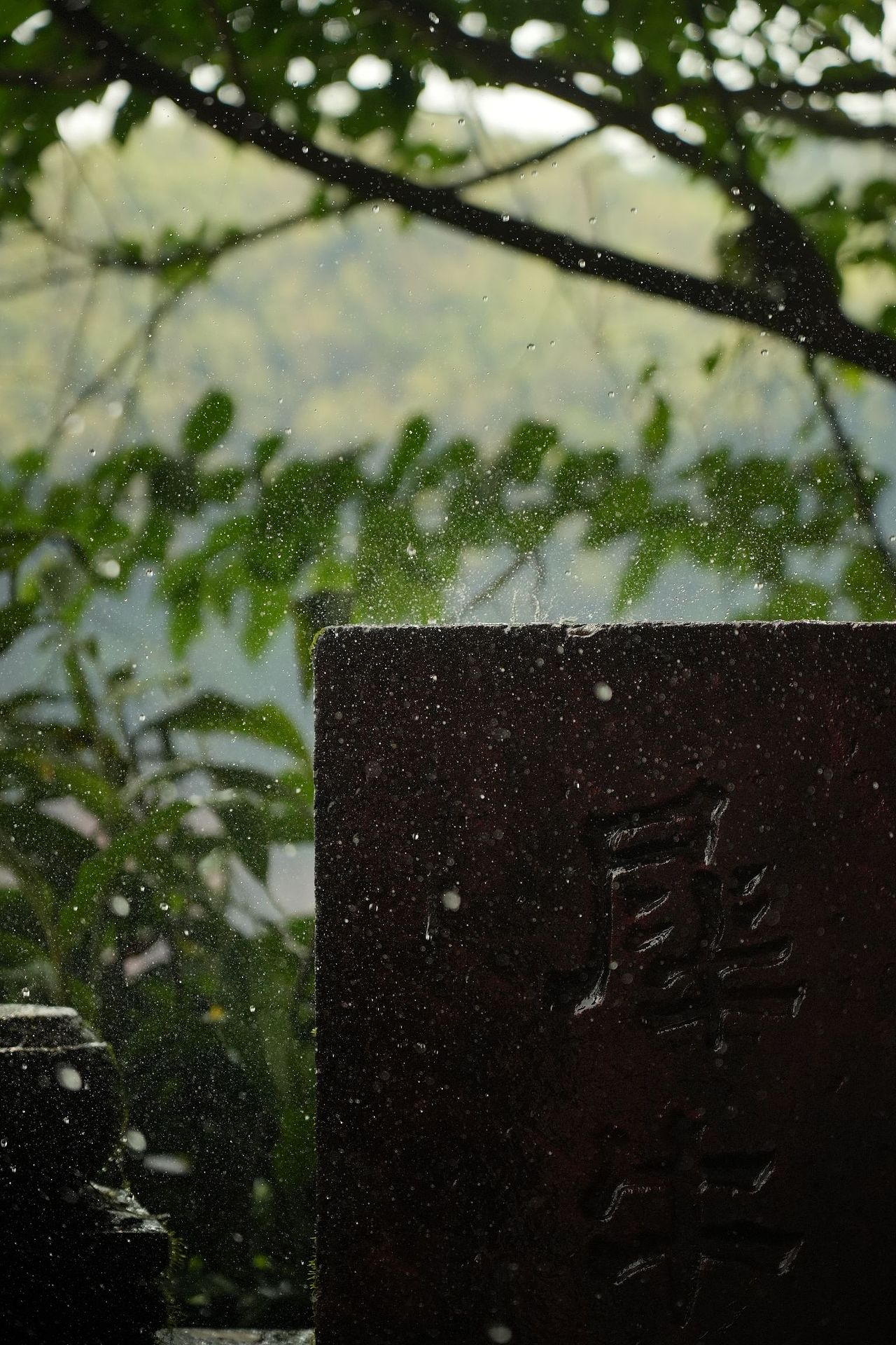 风景摄影||夏季||蜀南竹海清凉意（图ZMzY5NDE1NzY0） - 风光摄影 - 站酷设计师石芥原创素材 - 站酷ZCOOL