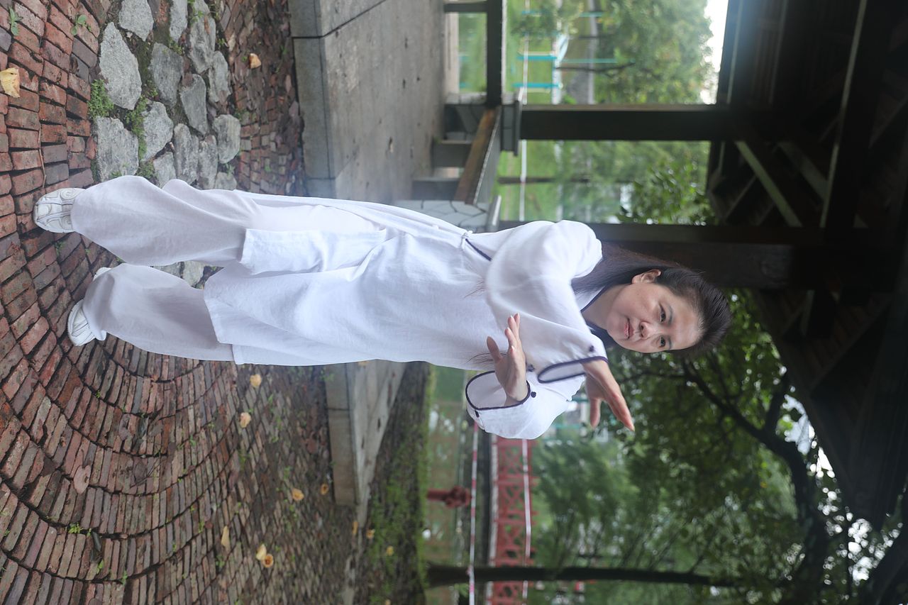 武当道致·理淳