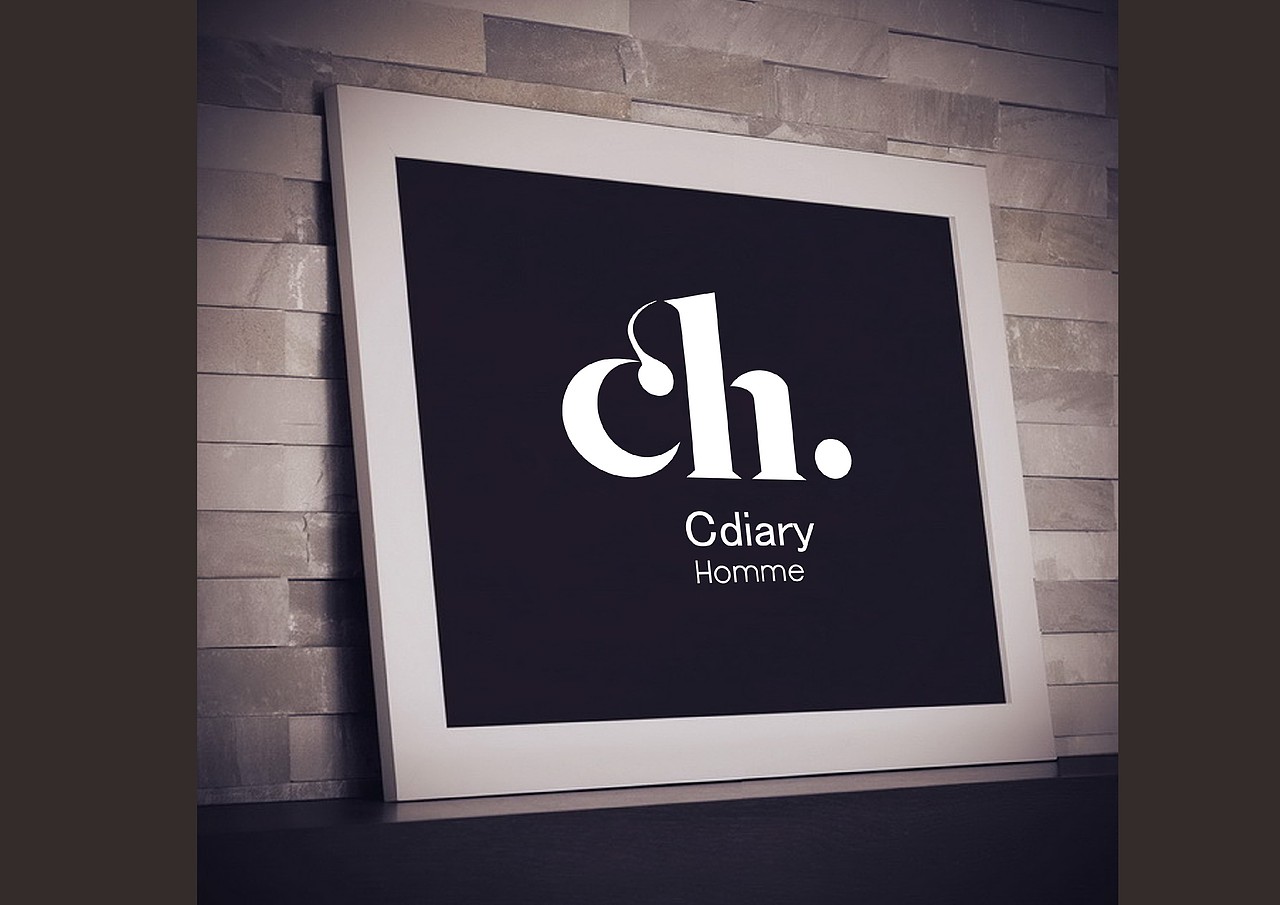 春风化雨™-2016年设计作品精选集（图ZMTAyNDI4MDgw） - 品牌 - 站酷设计师春风化雨设计陈波原创素材 - 站酷ZCOOL