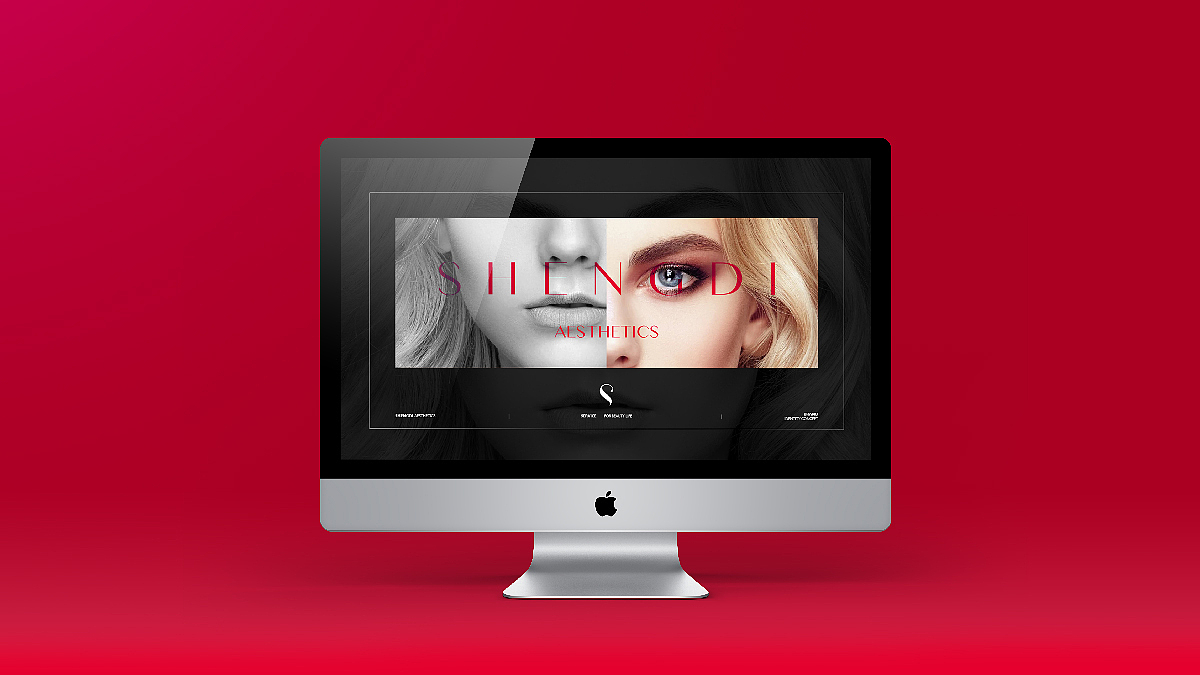 圣蒂美学 视觉品牌定位