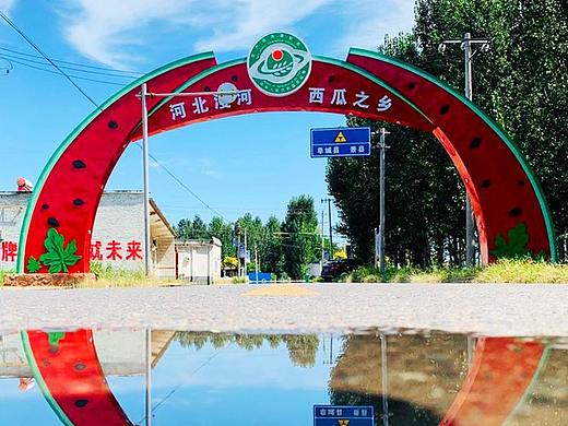 意正言形 丨河北·阜城·漫河西瓜形象标识造型设计