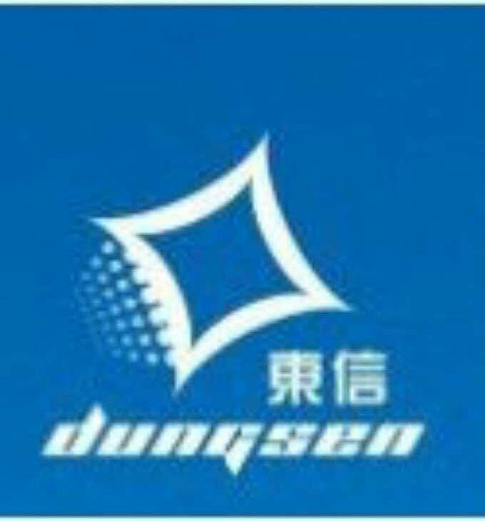 陕西东信税务师事务所全体员工给您拜年了!