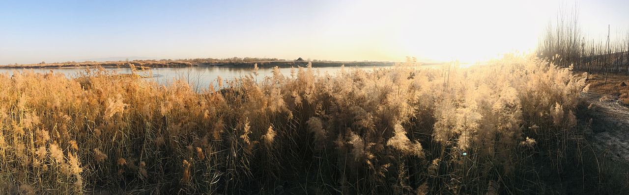 经渭分明冬日摄影作品