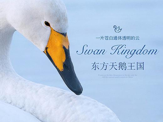 印象威海 · 天鹅湖
