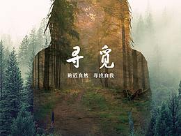 尋覓