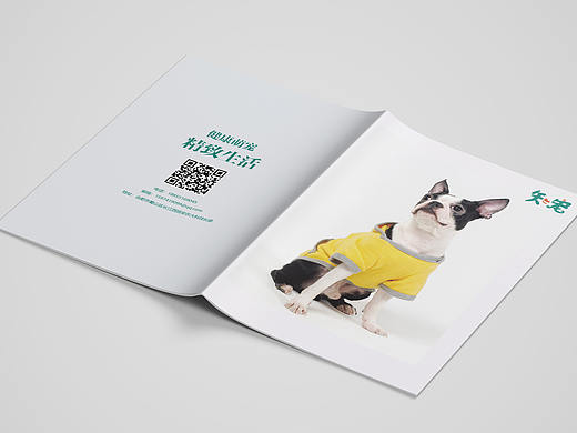 知宠（个人主页-ZNTI1ODEwNzY=） - Logo - 站酷设计师超大脸怪原创素材 - 站酷ZCOOL