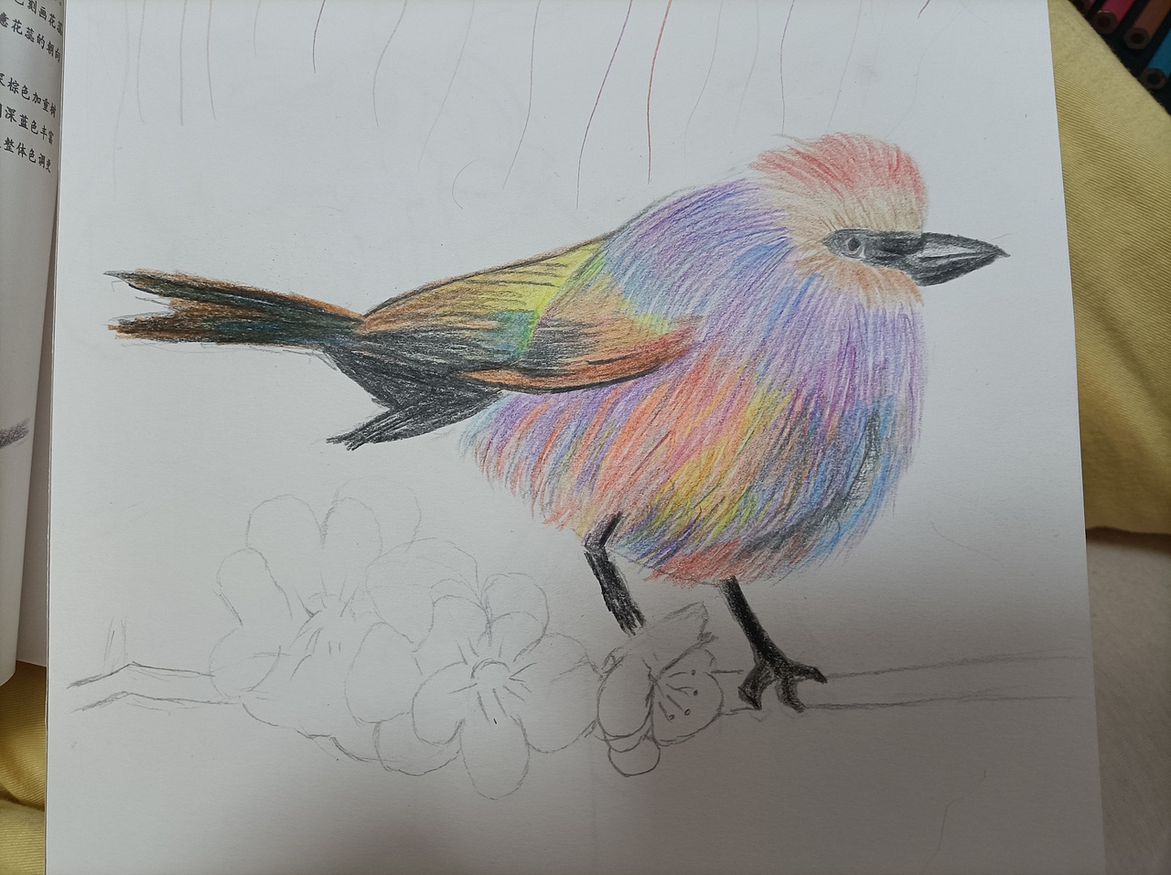 雀5（图ZMjgxNjY5NDA0） - 绘画 - 站酷设计师瑞琪插画原创素材 - 站酷ZCOOL