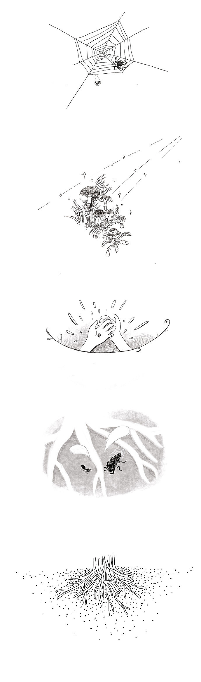 《多年蚁后》封面和内插（图ZMjgzMTEyMDky） - 商业插画 - 站酷设计师番麦fanmaizz原创素材 - 站酷ZCOOL