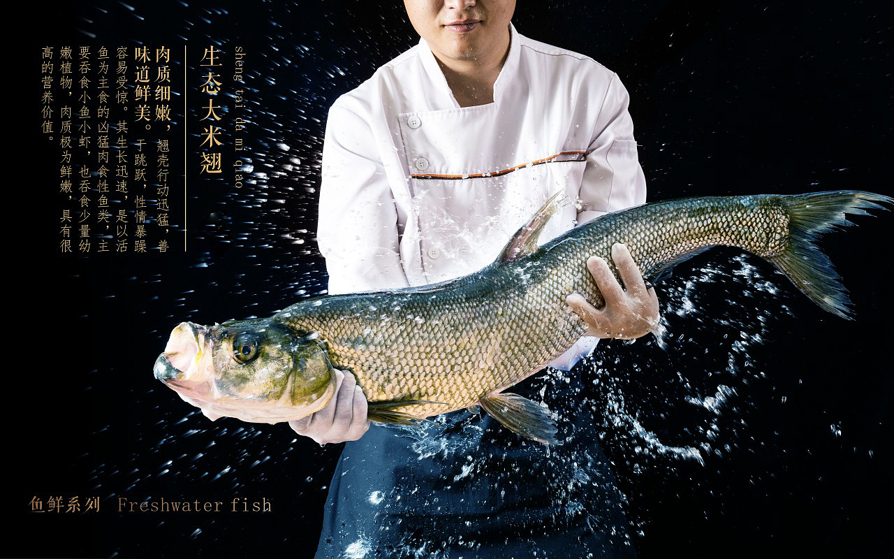 酒店电子菜谱设计-成都专业电子菜单设计制作公司（图ZMzI5ODUyMTk2） - 书籍/画册 - 站酷设计师捷达菜谱品牌设计原创素材 - 站酷ZCOOL