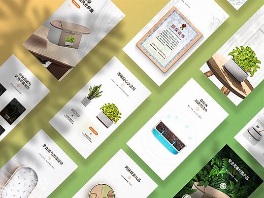 蔬菜养殖盆详情页