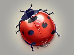 瓢虫一枚:beetle: