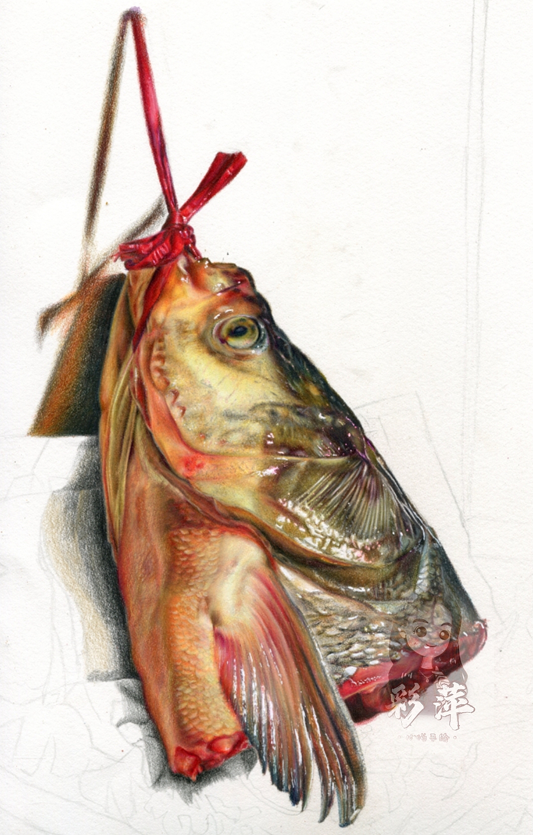 彩鉛-胖頭魚(yú)（圖ZMjY1OTE0MjQw） - 繪畫(huà) - 站酷設(shè)計(jì)師心悅彩鉛繪原創(chuàng)素材 - 站酷ZCOOL