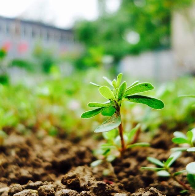 生活小角落-随拍（SONY-DSC-QX100）（图ZMjMzMjg5MzY=） - 其他摄影 - 站酷设计师gemini111126原创素材 - 站酷ZCOOL