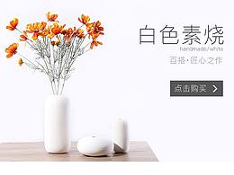 电商首页