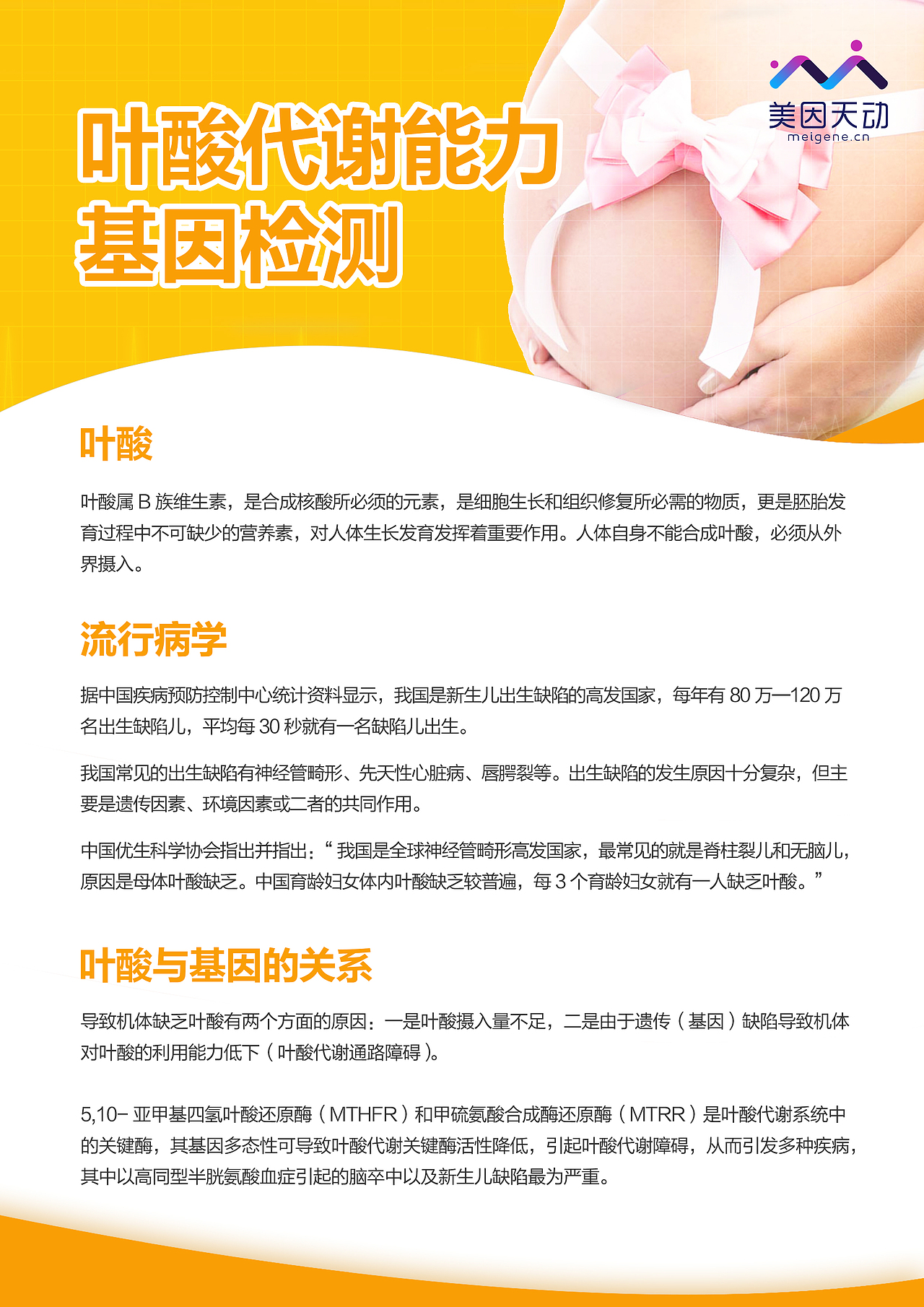 最近一些单页（叶酸代谢能力）（图ZMTE0MjUxMjEy） - 海报 - 站酷设计师ThankiWu原创素材 - 站酷ZCOOL