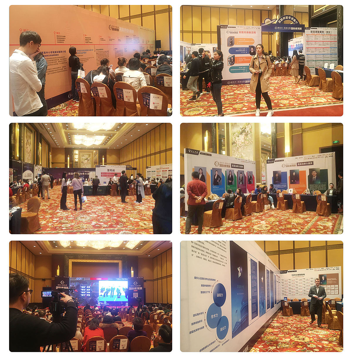 与『新东方』合作之一 —— 春展部分展示