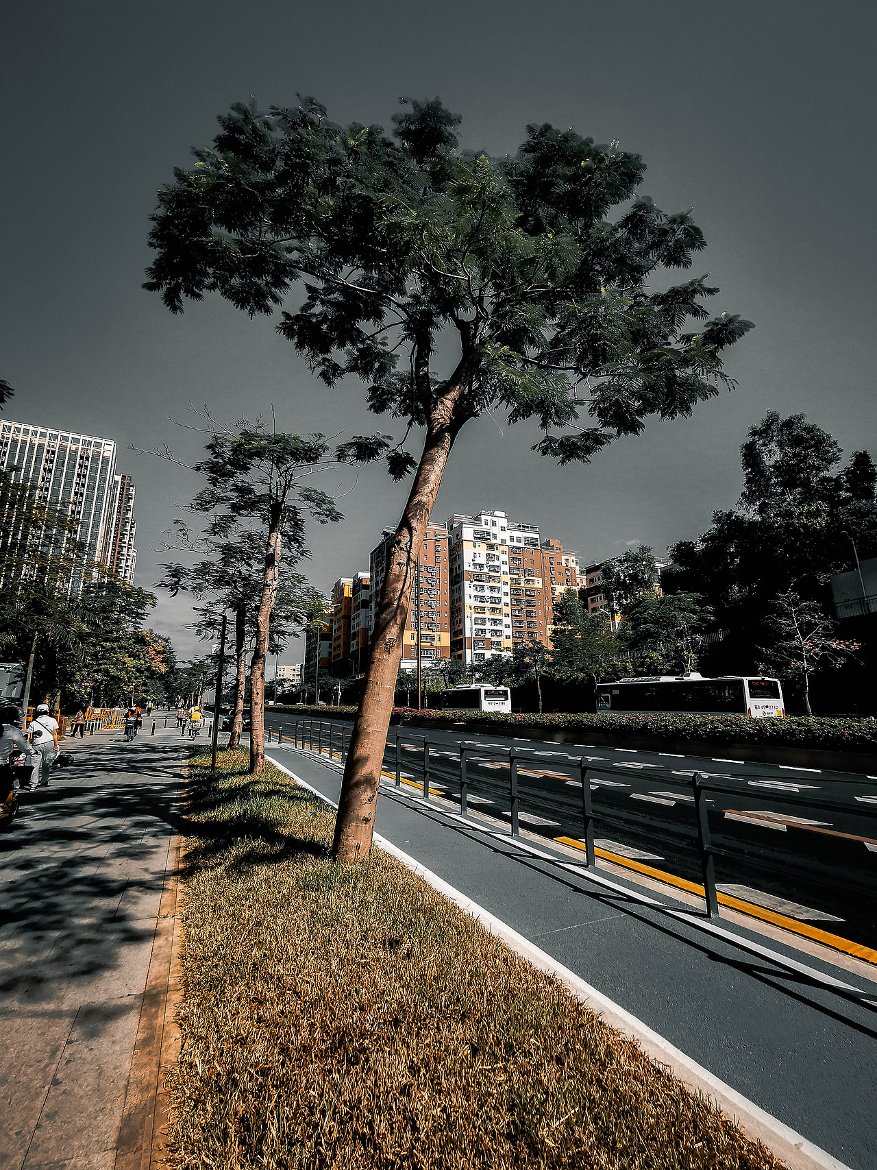 路.深圳（图ZMjUwNDU5NDgw） - 风光摄影 - 站酷设计师寒尽影原创素材 - 站酷ZCOOL