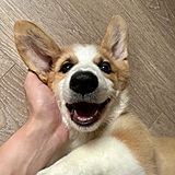 l林冠辰l的头像