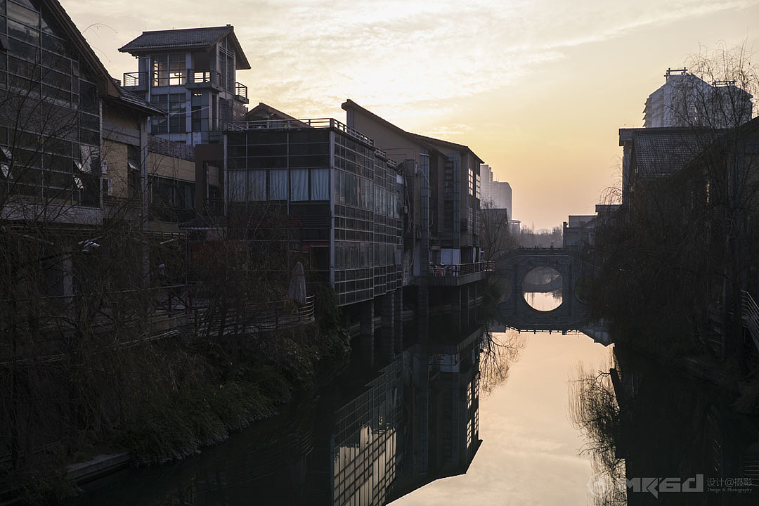 立春了,花开了~