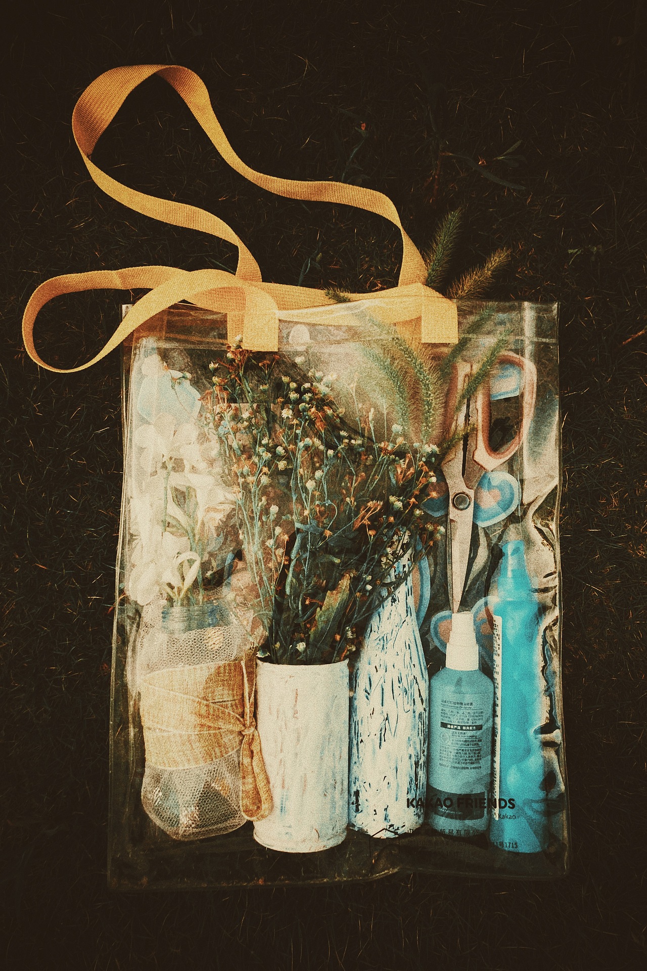 我带到草地上的物品