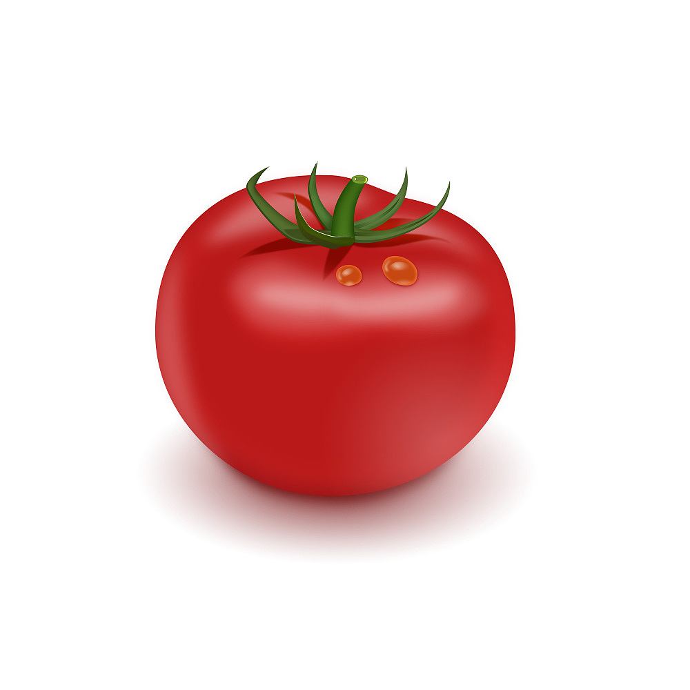临摹写实番茄一枚东莞|平面设计师本人王木木124202年前