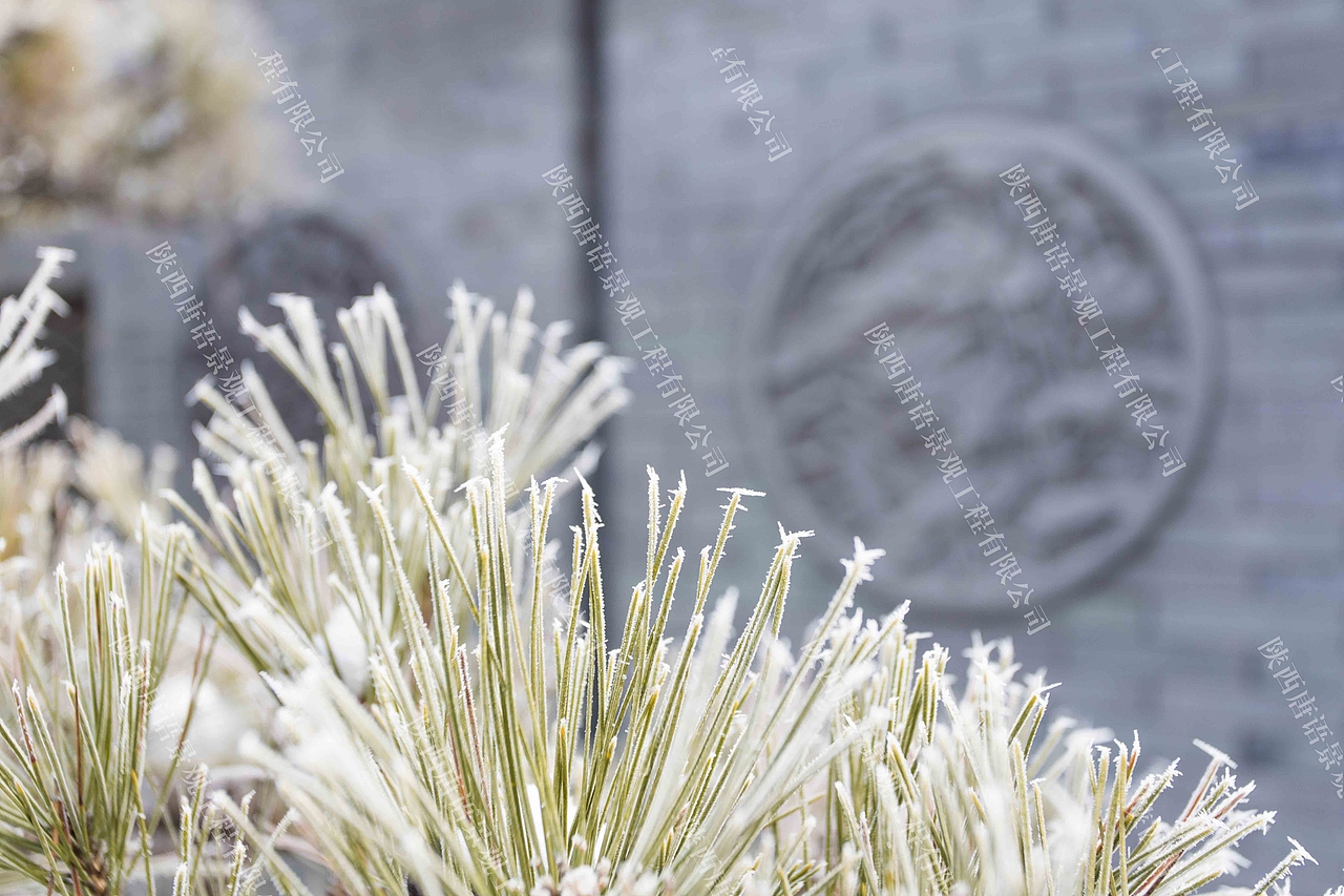 唐语砖雕四合院冬景如画