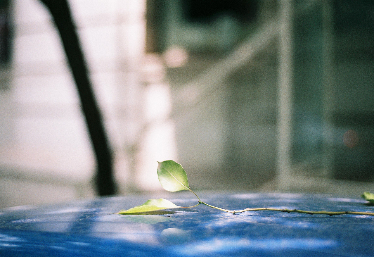 吴熙玮和他的胶片