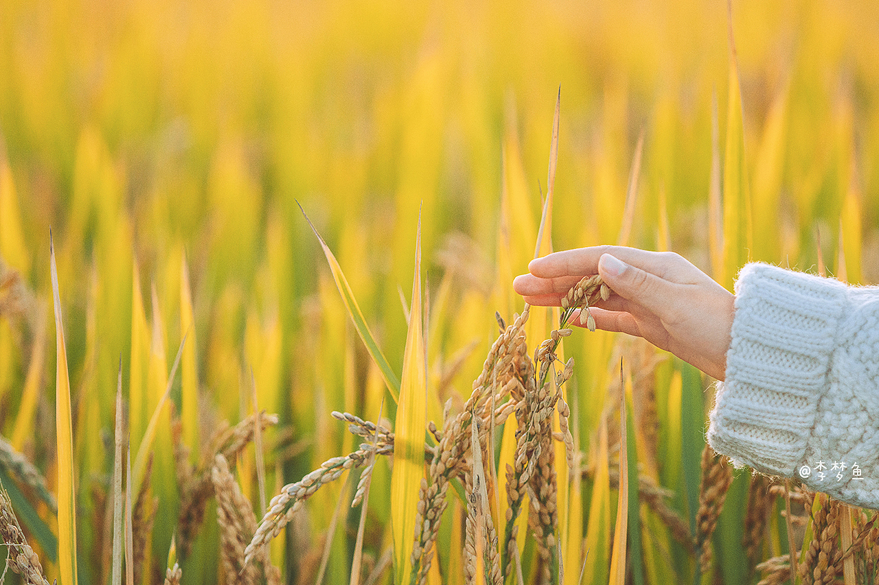 单车日记2019（图ZMTg3NDQ1ODUy） - 人像摄影 - 站酷设计师腰果虾仁原创素材 - 站酷ZCOOL