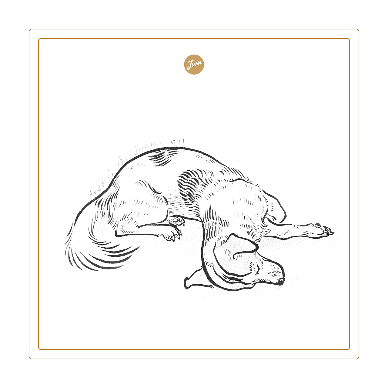 宠物速写（图ZMjA0Mzc1Njg0） - 创作习作 - 站酷设计师刘晓娟JUAN原创素材 - 站酷ZCOOL