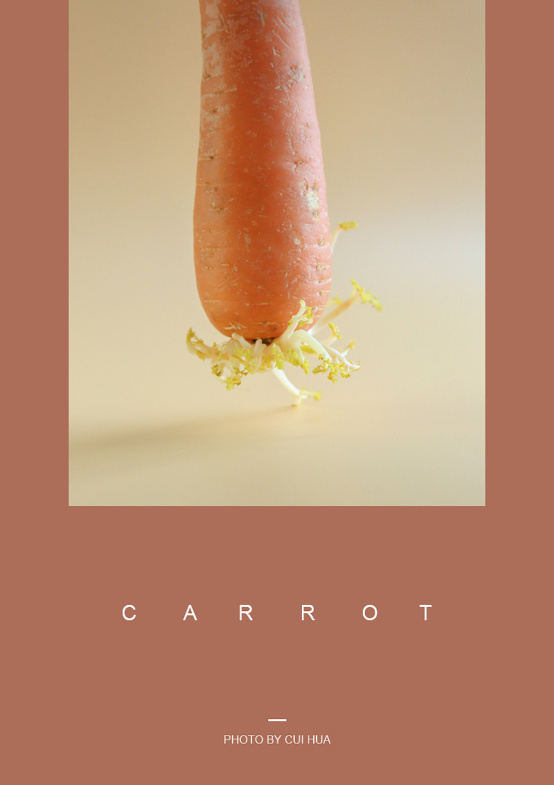 一个胡萝卜的自我救赎