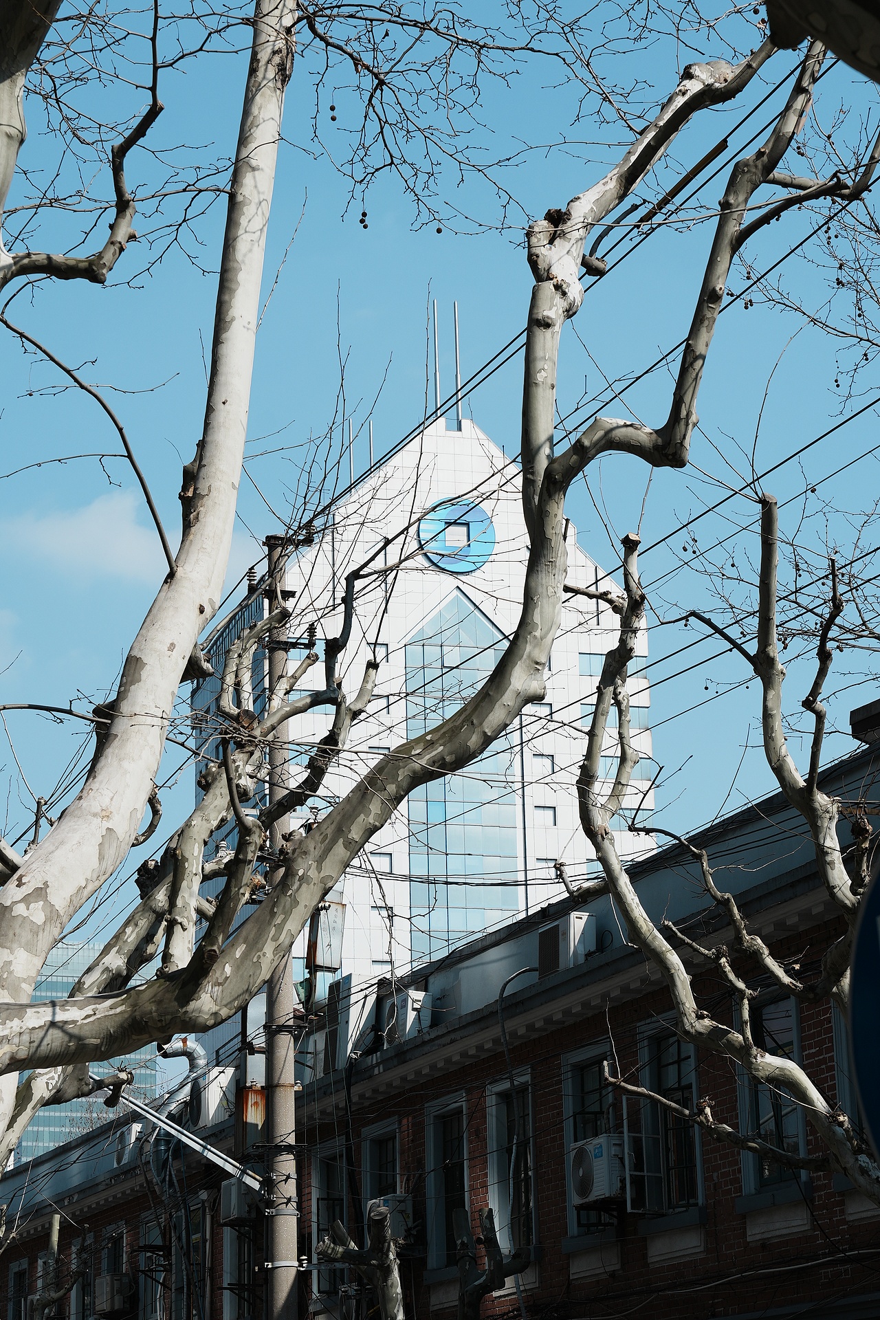 上海扫街|安福路街头摄影