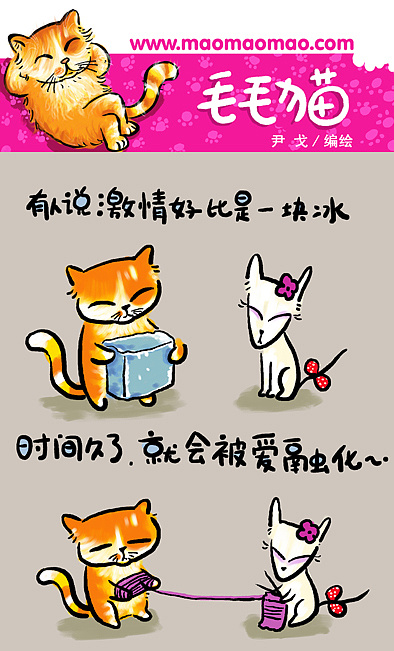 毛毛猫系列漫画猫言猫语闪亮登场