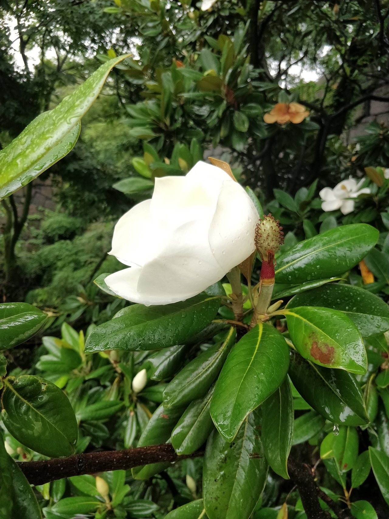 18年旅行游记（图ZMTI4Nzc4MjAw） - 风光摄影 - 站酷设计师疯狂的鱼子原创素材 - 站酷ZCOOL