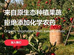 生鮮蔬菜網(wǎng)頁設(shè)計