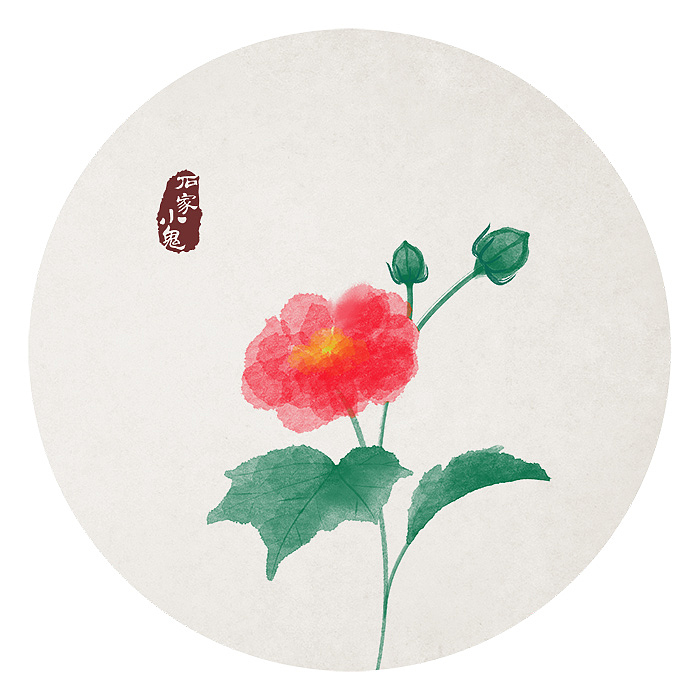 木芙蓉花——竹简系列·水墨中国风花卉插画