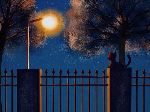 猫与夜（Cat And Night）