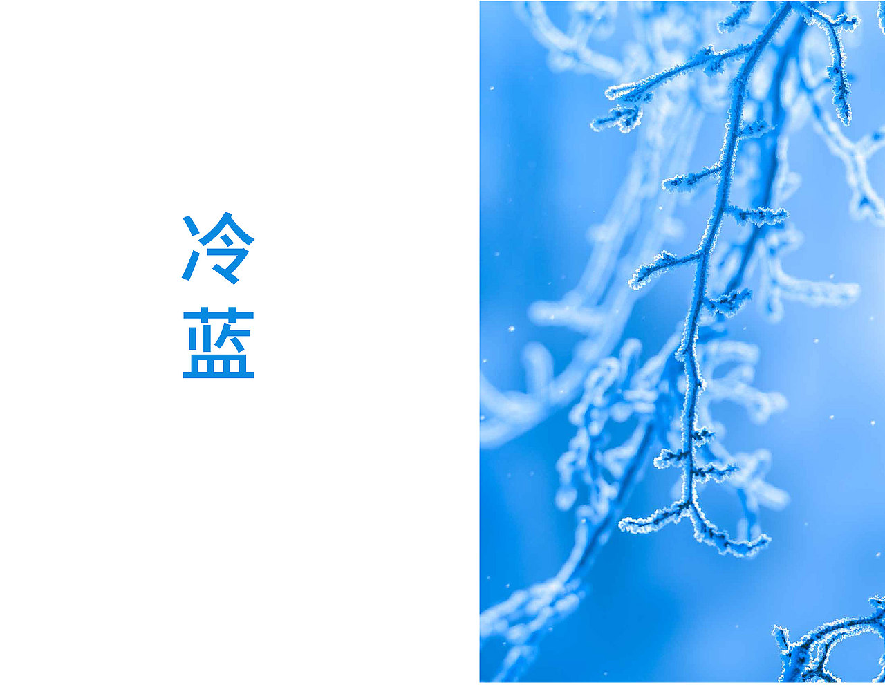 冰酒包装设计（图ZMjE2ODAxOTU2） - 包装 - 站酷设计师尹卓龙原创素材 - 站酷ZCOOL